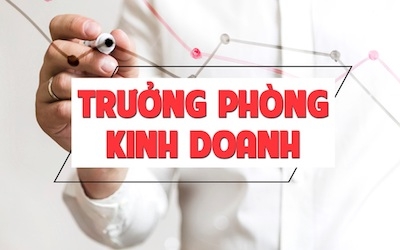 Trưởng phòng kinh doanh Bất động sản